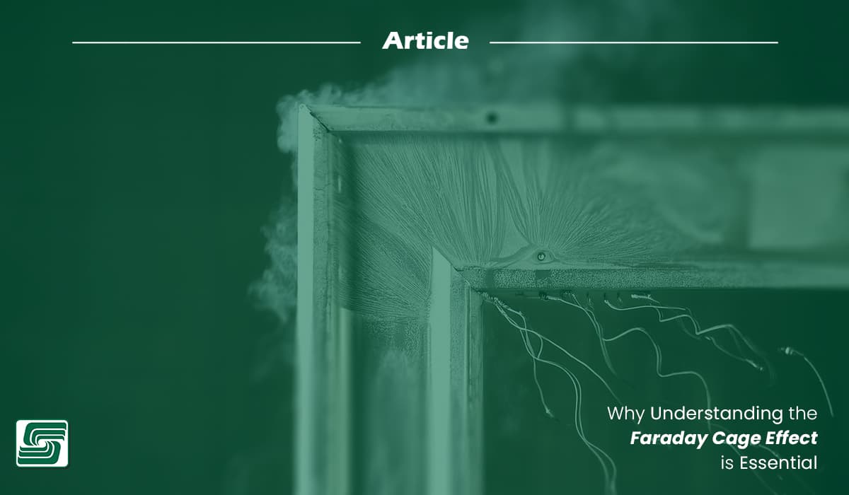 Understanding Faraday Cage Effect
