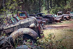 Row of Rusty Cars