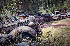 Row of Rusty Cars